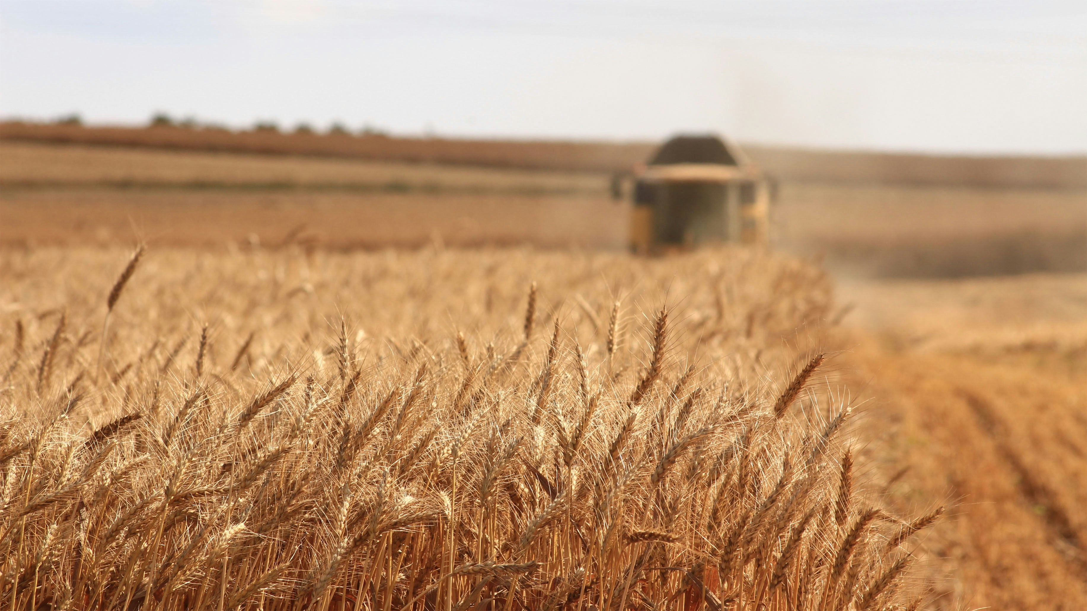 Field Farming
